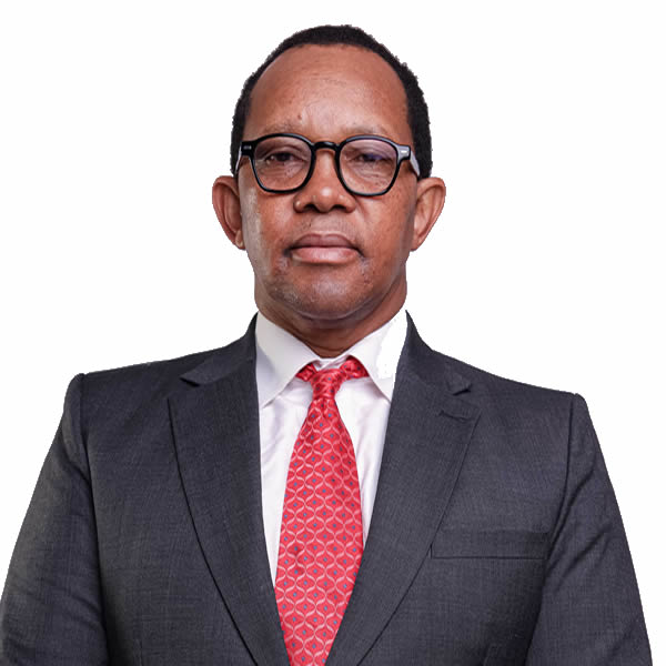 Mr Vusi Dlamini